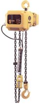 electric chain hoist max. 5 t  David Round Company, Inc.