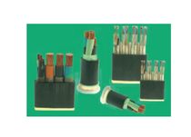 electric power distribution cable   Chint Electric Co.,Ltd.