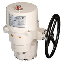 electric valve actuator 17 500 - 22 000 "lbs(2 000 - 2 500 Nm), NEMA | P9/P10 series ProMation Engineering Inc.