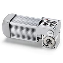 electric worm gearmotor 3 Nm | BC2000 MINIMOTOR