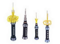 electrical control cable  Chint Electric Co.,Ltd.