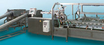 end load cartoner 20 - 120 cycles/min | HK L Dienst Verpackungstechnik