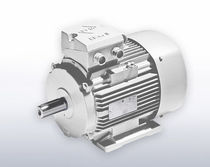 explosion proof asynchronous electric motor 0.06 - 315 kW, IP65 VEM motors