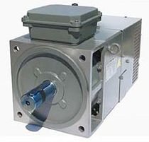 explosion proof asynchronous electric motor max. 170 kW, 820 Nm, IP54 | MAC-QE Series VASCAT