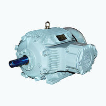 explosion proof asynchronous electric motor 0.45 MW, 0.65 kV CG Power Systems