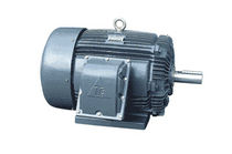 explosion proof asynchronous electric motor  TECO Industrial Motors & Applications