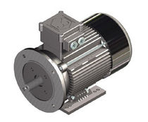 explosion proof asynchronous electric motor 0.09 - 18.5 kW SEIPEE