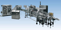 FFS packaging line  Schmucker
