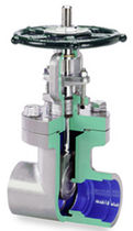 forged steel gate valve  Flowserve Corporation Europe
