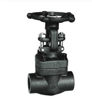 forged steel globe valve 3 000 psi | GV-GB-FT  John Valve