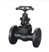 forged steel globe valve class 600 | JV-GB-FF  John Valve