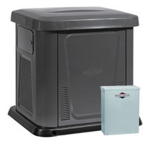 gasoline generator 10 kW, 200 A | 040325 BRIGGS and STRATTON