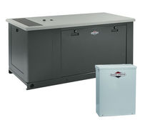 gasoline generator 45 kW, 200 A | 076031-0  BRIGGS and STRATTON