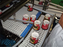 gravity roller conveyor  SpanTech