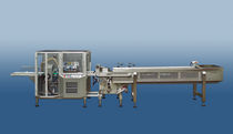 H-FFS flow wrapper bagging machine  Prins UK