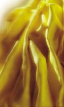 high temperature cyanate ester prepreg system  Seal SpA