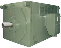high-voltage asynchronous electric motor max. 1600 kW | HV series FIMET Motori & Riduttori S.p.a.
