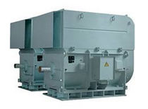 high-voltage explosion proof three-phase asynchronous electric motor 160 - 4 000 kW | HXV2 CAG Electric Machinery s.r.o.