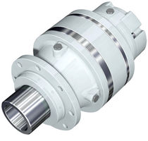 hollow shaft planetary gear reducer  REGGIANA RIDUTTORI