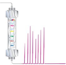 HPLC column  Rudolph Instruments Inc