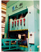 hydraulic hot forming press  Tianjin Tianduan Press Co.,Ltd.