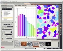 image analysis software  LEICA MICROSYSTEMS