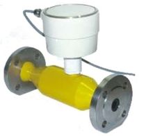 in-line density meter  PETROSYSTEM