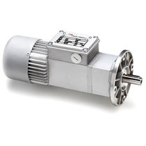 in-line electric gearmotor with planetary reduction stage 23.5 Nm | ACCE MINIMOTOR