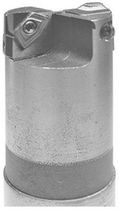 insert milling-cutter  Sommerer