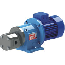 internal gear pump with magnetic coupling max 80 mc/h, max 30 bar | GS MAG-M M PUMPS
