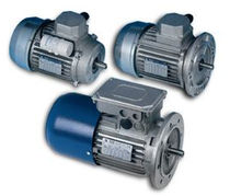 inverter duty asynchronous electric motor T, D, M series Stm Spa