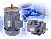 inverter duty asynchronous electric motor 10 - 160 Hz, 0.75 - 15 kW | AV, AE Series Adlee Powertronic Co., Ltd.