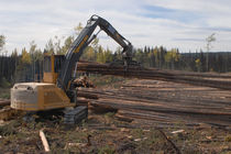 knuckleboom log loader 42 640 kg (94 000 lb), 224 kW (300 hp) | 880 Tigercat