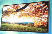 LED display IP54, 110 - 380 VAC | migra RGB microSYST Systemelectronic