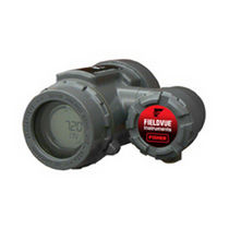 level controller 4 - 20 mA | DLC3020f series FISHER