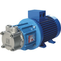 magnetic drive peripheral pump max. 1,5 m&sup3;/h, max. 85 m | T ECO MAG-M series M PUMPS