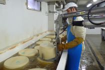 manipulator for handling cheese ATISmirus ATIS s.r.l.