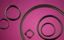 mechanical seal  Technical Rubber Products