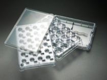 microplate 0.4 - 12 &micro;m | Millicell Merck Millipore
