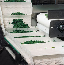 modular plastic conveyor belt for agro-food industry  Forbo Siegling