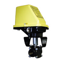 motorized ball valve 300 psi  Walchem