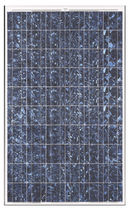 multicrystalline photovoltaic module 120 - 135 W | MP36  Microsol International