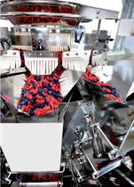 multihead weigher for bulk 55 cpm | RCW 10 21 Simionato Integrated Packaging System S.r.l.