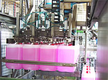palletizer 13 - 44 p/h VCG Fl&uuml;ssigkeitsf&uuml;llmaschinen GmbH