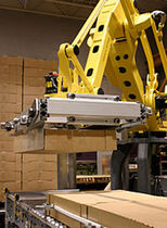 palletizing robot  Weldon Solutions