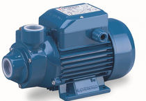 peripheral centrifugal pump max. 90 l/min, max. 100 m | NPP-PK series TESTUD