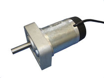 permanent magnet DC electric spur gearmotor 300 - 500 W, 12 - 60 VDC | PMS Micro-Motor