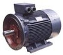 permanent magnet synchronous electric motor (PMSM) TYC2 Series Unistone Motors