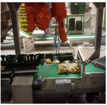 pick and place packaging robot max. 160 kg | CPS CPS CASE PACKING SYSTEMS