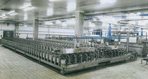 pneumatic press for cheese production  Magnabosco